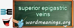 WordMeaning blackboard for superior epigastric veins